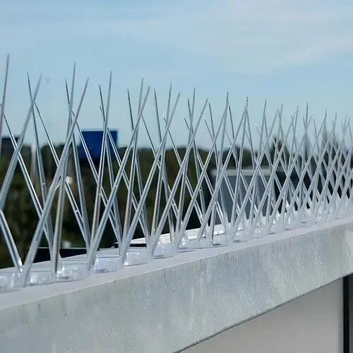 Elite Netting Premium Anti Bird Spikes in Hyderabad and Throughout Telangana