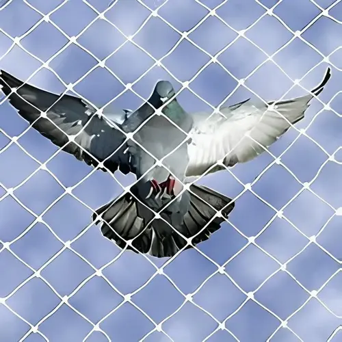 Elite Netting Premium Quality Pigeon Netting Services in Hyderabad, Uppal and Throughout Telangana