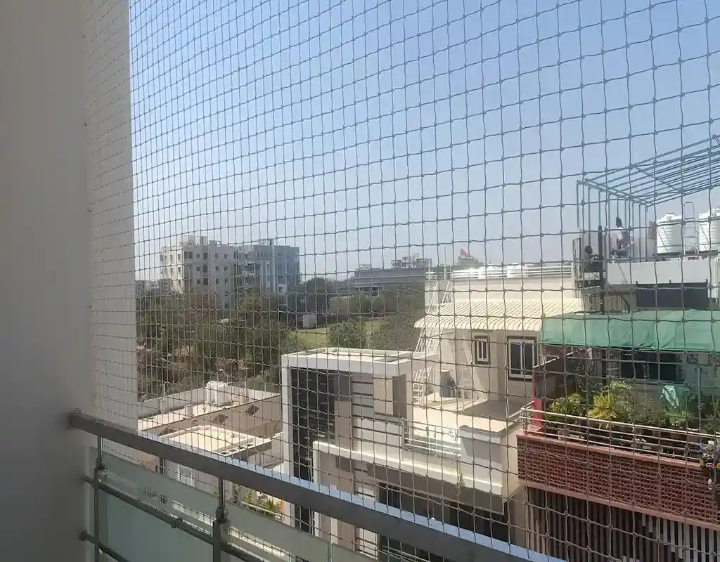 Pigeon Netting Service in Hyderabad and Throughout Telangana (4)
