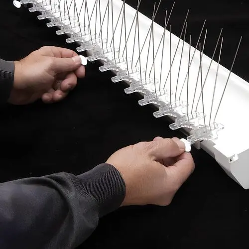 Elite Netting - Bird Spikes Installation
