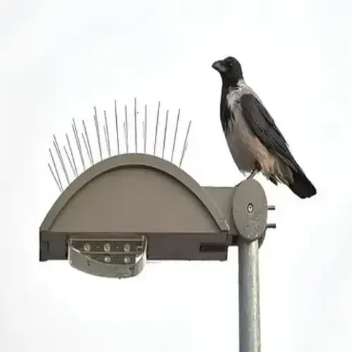 Anti Bird Spikes in Narsingi and Kokapet - Elite Netting