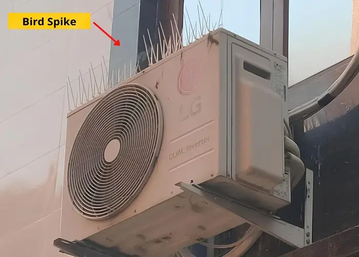Premium Quality Anti Bird Spikes in Narsingi and Kokapet - Elite Netting