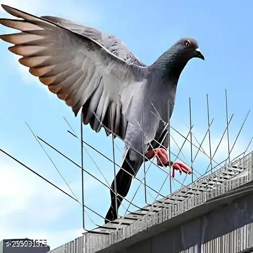 Top Quality Anti Bird Spikes in Narsingi and Kokapet - Elite Netting