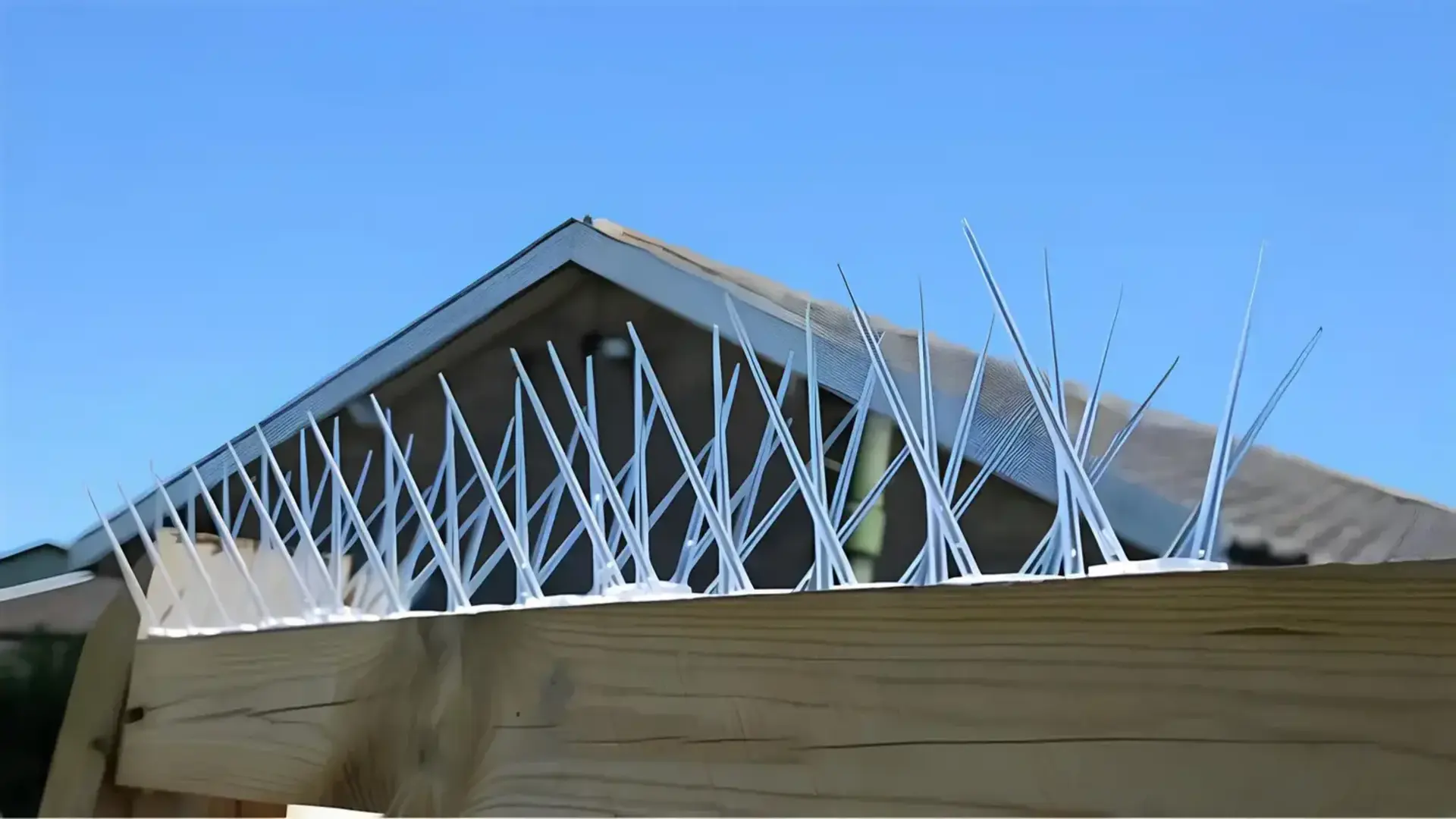 Contact Elite Netting for Bird Spikes