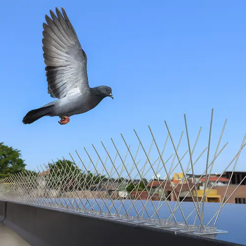 Premium Bird Spikes in Jubilee Hills and Banjara Hills