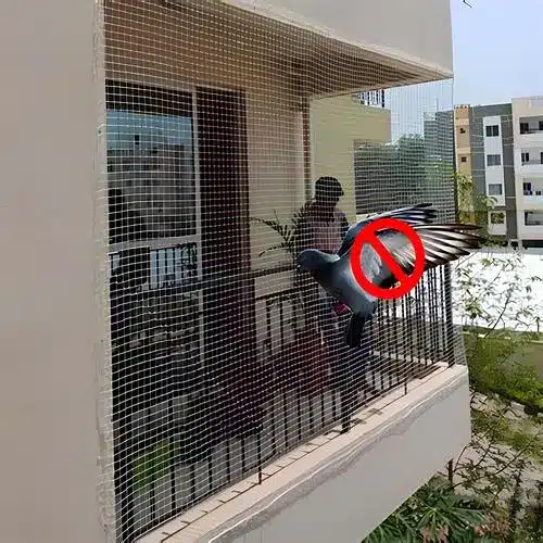 Premium Pigeon Nets for Balcony in Tolichowki and Film Nagar