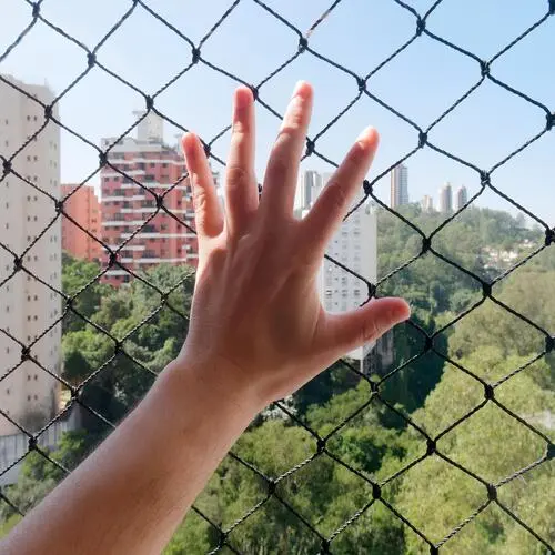 Premium Pigeon Netting Service in Gachibowli and Financial District