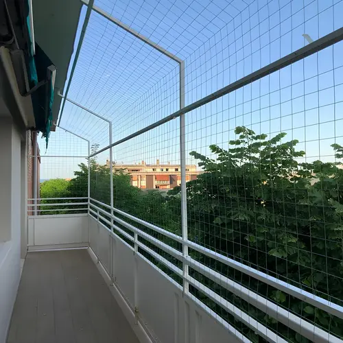 Premium Quality Pigeon Netting Service in Uppal and LB Nagar