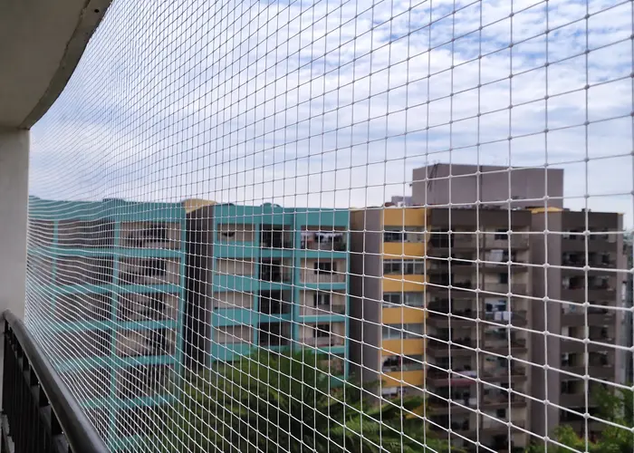 Top Premium Quality Bird Nets for Balcony in Gachibowli and Financial District