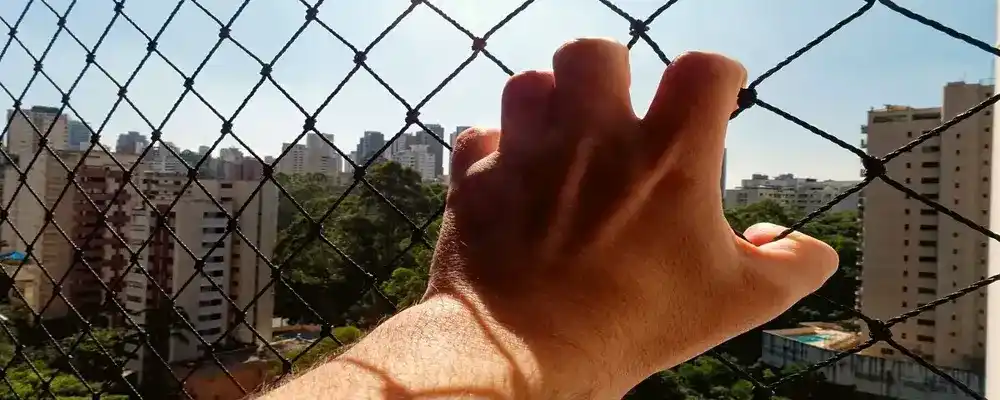 Bird Netting Near Me in Pune and Nashik (6)