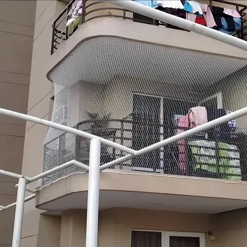 Bird Netting Services in Viman Nagar and Nanded City (3)