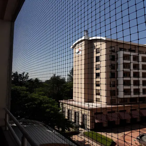 Bird Netting Services in Viman Nagar and Nanded City (5)