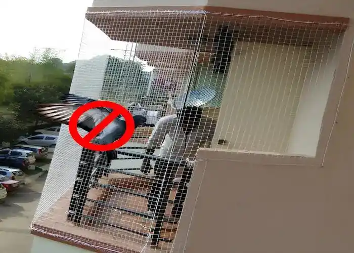 Pigeon Safety Nets in Kharadi and Wagholi